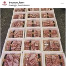 부원목장 이미지