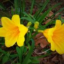 치유행정사사무소 이미지