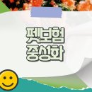 초로동물병원 | 펫보험 중성화 지원 강아지 수술비 보장 청구 금액
