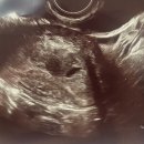 삼성연세산부인과의원 이미지