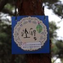 안산-대부-대부-4 이미지