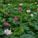 여물농장 이미지