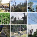 불암산더불어숲 이미지