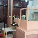 루이앤독 이미지