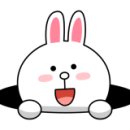 청일백호태권도 이미지