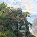 소풍(동행) 이미지