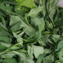 선종주농장 이미지