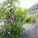 철구농장 이미지