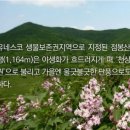 10월 1일(일) 천상의 화원 점봉산 곰배령 단풍여행/♡50,000.조중식(찰밥)제공 이미지