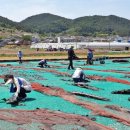 회진면 행정복지센터 이미지