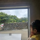 색달동-24 | 4월 아기와 가기 좋은 제주도 2박 3일 여행 2일차_이보커 카멜리아힐 두리둠비 중문색달해수욕장 신화...