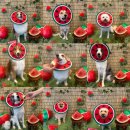 댕라이킷 이미지