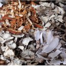 대제당한의원 이미지