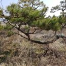 추월농장2 이미지