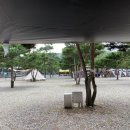 캠프예그리나 이미지