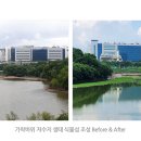 가락생태공원(1) 이미지