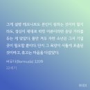 버뮤다 참내 ㅋㅋ 이미지