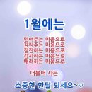 유통카센타