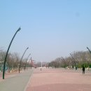 3월 봄내음을 노르딕워킹으로 만끽~