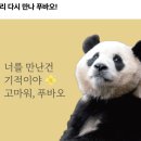 푸바오가 쏩니다?... 이미지