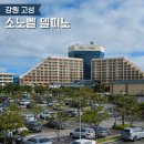 캐슬당구장 | 소노벨 델피노 부대시설 총정리 먹거리부터 놀거리까지 한 번에