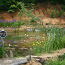 하늘빛으로 물든새 이미지