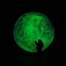 흥기1리 무지개숲 앞 | 대구 근교 아이랑 밤에 가볼만한 곳 고령 대가야 빛의숲