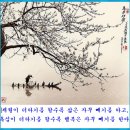 제31세 상형(尙馨) 이미지