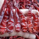 명지농장1 이미지