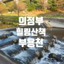 캡틴정비 | 도시농부 파파캡틴의 의정부 힐링코스 탐방 2편: 의정부 부용천 물길 산책로 걷기 후기