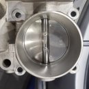 애니카랜드 화원점 이미지