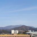 동일미래과학고등학교 운동장 | 한선인의 취미는 임장(현장답사)