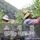 석교농장 이미지