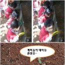 오륜대로 이미지