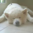 남기농장 이미지