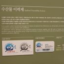 바다밥상 - 동구 | 바다밥상