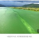 “낙동강 수돗물 발암물질 초과는 4대강 녹조탓”···환경단체 “보 철거만이 해법” 이미지