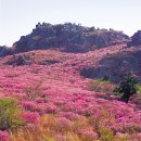 평원약국 이미지