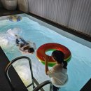 단델리온풀빌라 이미지