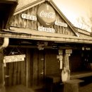 꿈꾸는 나비 이미지