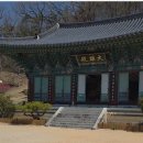 태안사 | 곡성 여행-2026.3.28.