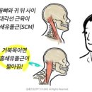 뉴핏필라테스 - 수원시 영통구 봉영로 1761 | 뉴핏필라테스