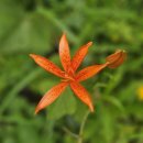 천반산길 이미지