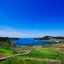 청산도봄 이미지