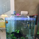 리스모어 이미지