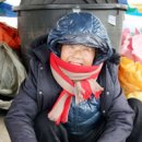 해남5일시장 이미지