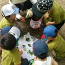 푸른금산어린이집 이미지