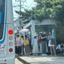 바글바글제주 이미지