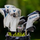 진골프클럽 이미지