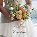 디어퐁퐁 이미지